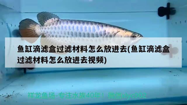 鱼缸滴滤盒过滤材料怎么放进去(鱼缸滴滤盒过滤材料怎么放进去视频) 祥龙水族滤材/器材