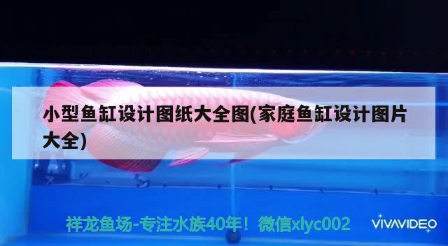 清苑区鱼趣水族店：打造您的水族世界（保定清苑区鱼趣水族店：打造您的水族世界清苑区鱼趣水族店）