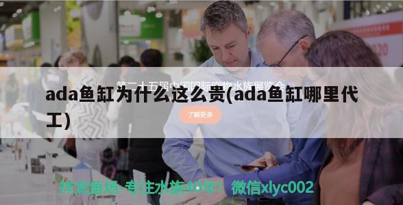 ada鱼缸为什么这么贵(ada鱼缸哪里代工) 热带鱼鱼苗批发