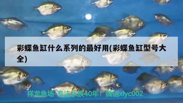 彩蝶鱼缸什么系列的最好用(彩蝶鱼缸型号大全) 观赏鱼水族批发市场