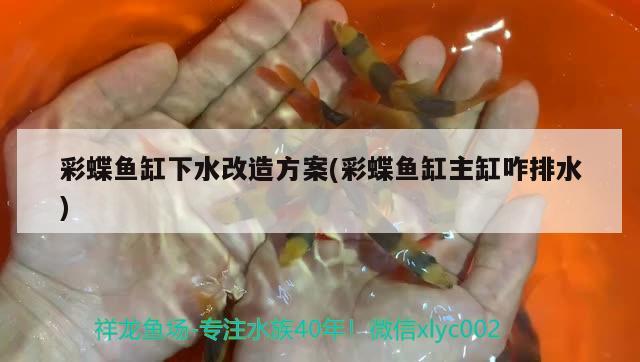 彩蝶鱼缸下水改造方案(彩蝶鱼缸主缸咋排水)