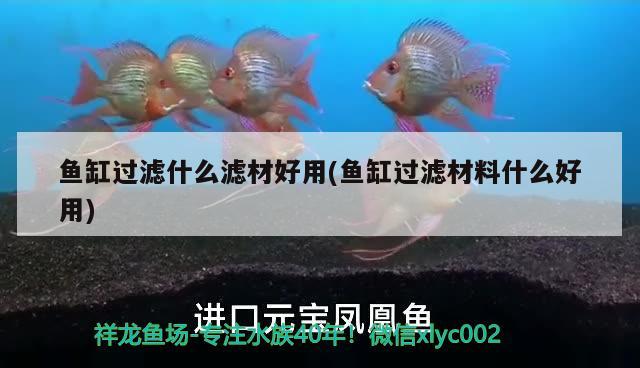 廊坊市广阳区爱民东道天硕观赏鱼店 全国水族馆企业名录 第5张