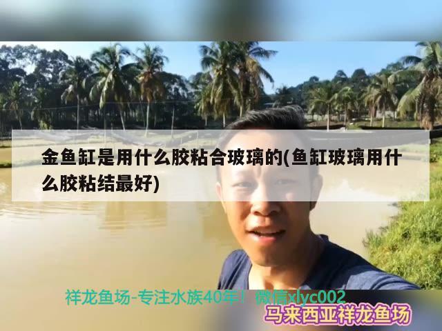 金龙鱼白金卡兑换(金龙鱼礼品卡兑换)