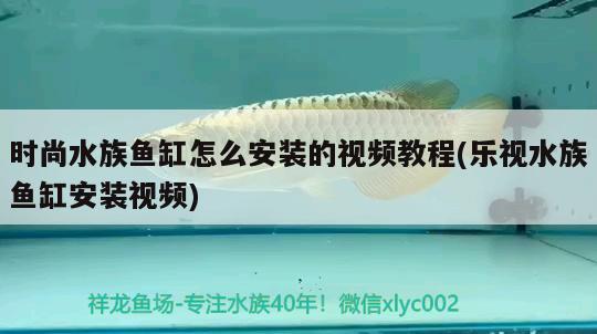 时尚水族鱼缸怎么安装的视频教程(乐视水族鱼缸安装视频) 金老虎鱼