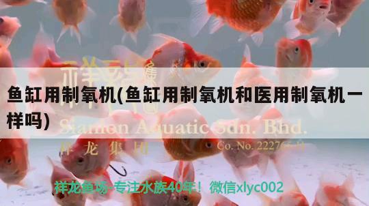 鱼缸用制氧机(鱼缸用制氧机和医用制氧机一样吗) 福满钻鱼