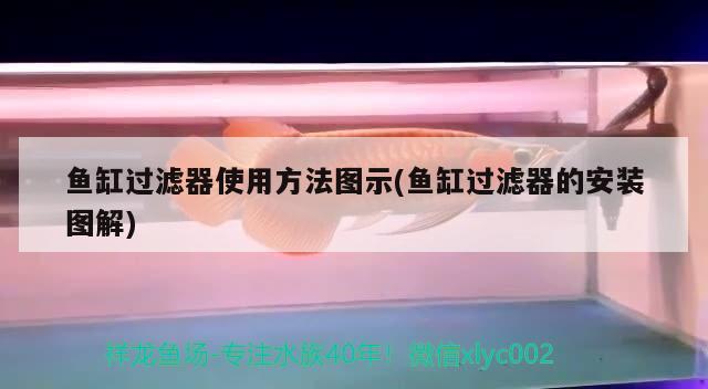 鱼缸过滤器使用方法图示(鱼缸过滤器的安装图解)