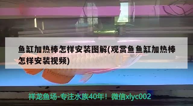 鱼缸滤材批发市场进货网站有哪些（鱼缸过滤配件批发） 其他品牌鱼缸 第1张