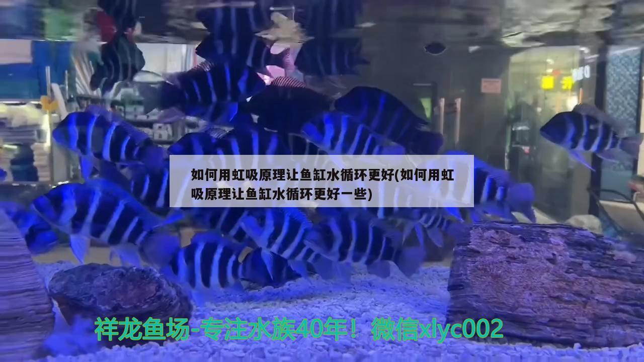 如何用虹吸原理让鱼缸水循环更好(如何用虹吸原理让鱼缸水循环更好一些) 红龙福龙鱼