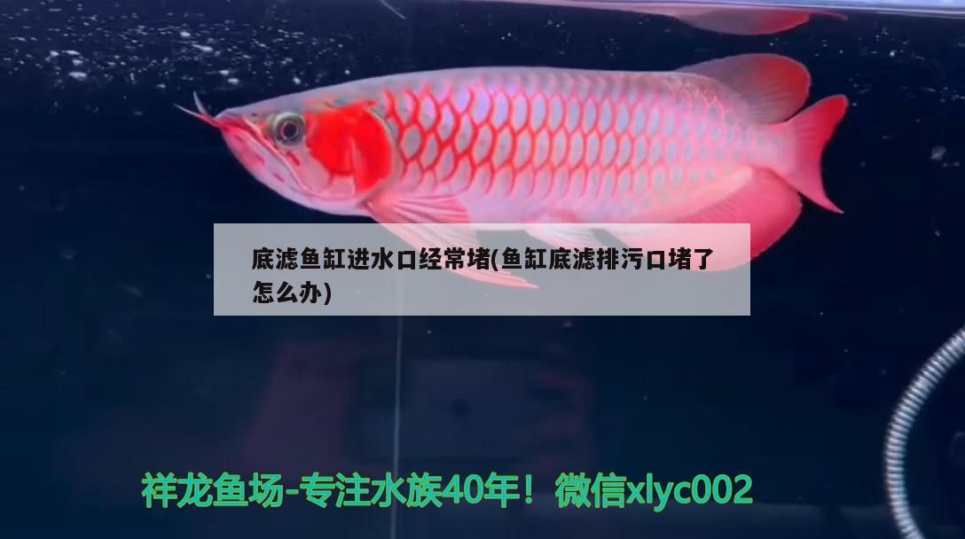 五星水族鱼缸安装说明书（fivestar的鱼缸屏幕显示的都是什么）