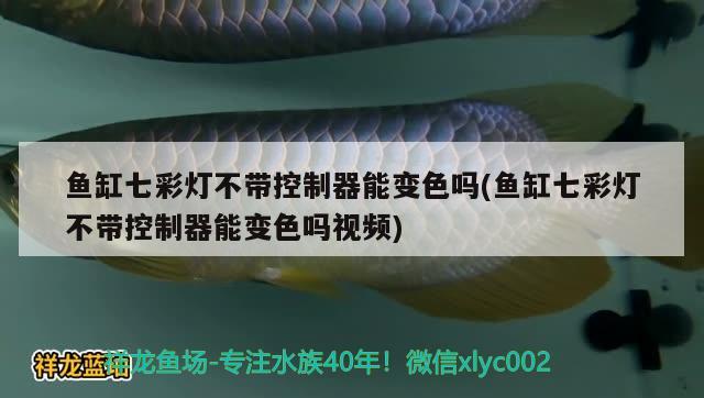 鱼缸七彩灯不带控制器能变色吗(鱼缸七彩灯不带控制器能变色吗视频) 潜水泵