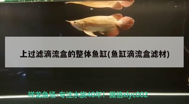 上过滤滴流盒的整体鱼缸(鱼缸滴流盒滤材)