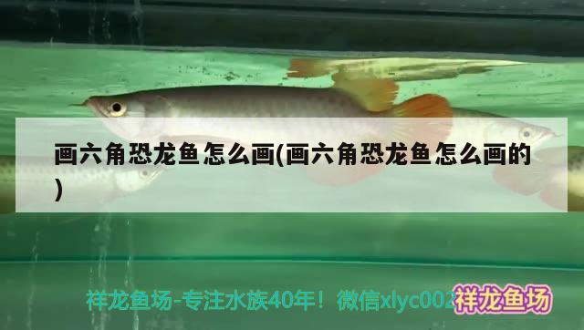 英国鱼缸品牌有哪些牌子(德国鱼缸有什么品牌) 飞凤鱼苗