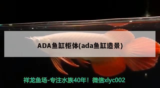 ADA鱼缸柜体(ada鱼缸造景)