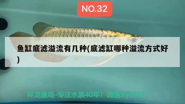 鱼缸底滤溢流有几种(底滤缸哪种溢流方式好) 水族维护服务（上门）