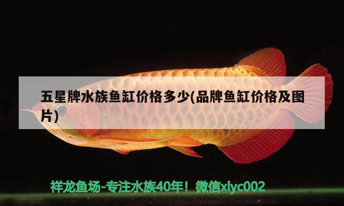 五星牌水族鱼缸价格多少(品牌鱼缸价格及图片) 温控设备