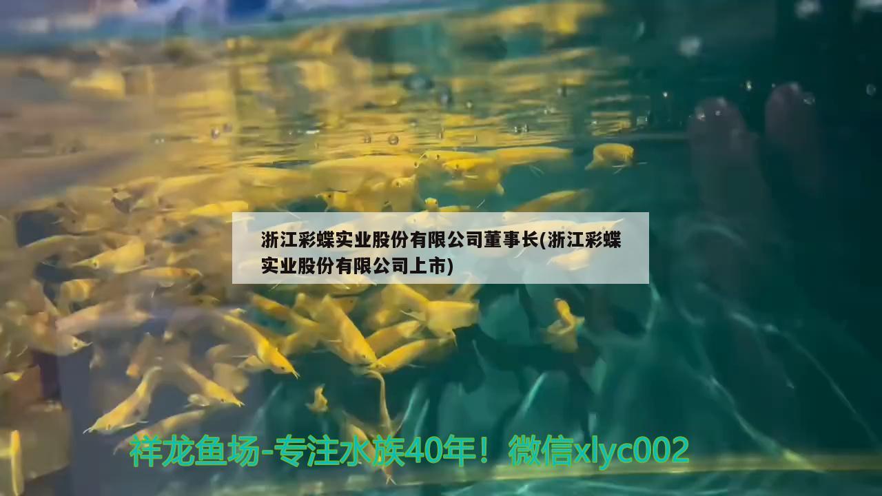 浙江彩蝶实业股份有限公司董事长(浙江彩蝶实业股份有限公司上市) 委内瑞拉奥里诺三间鱼苗