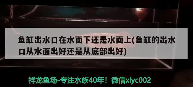 鱼缸出水口在水面下还是水面上(鱼缸的出水口从水面出好还是从底部出好)