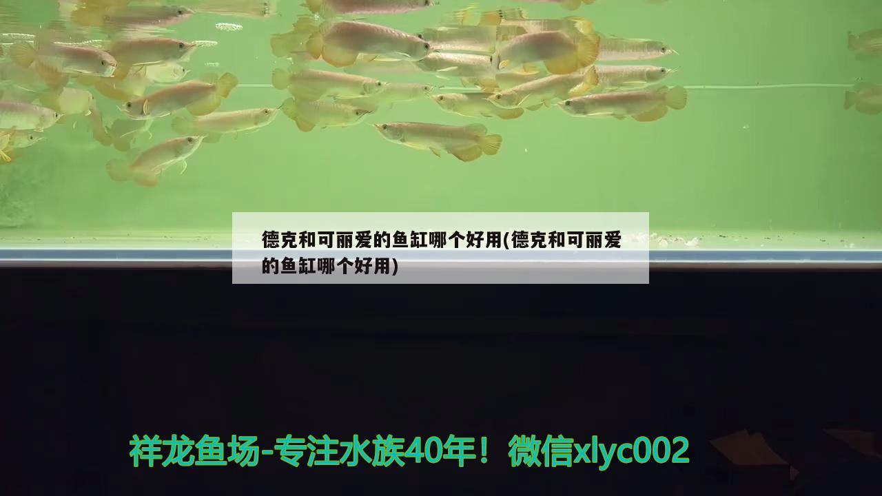 德克和可丽爱的鱼缸哪个好用(德克和可丽爱的鱼缸哪个好用)