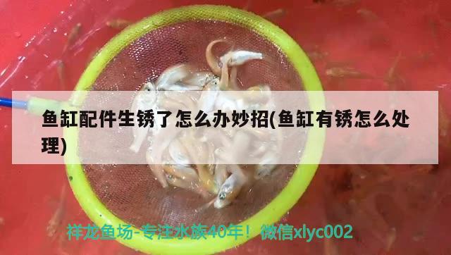 鱼缸配件生锈了怎么办妙招(鱼缸有锈怎么处理)