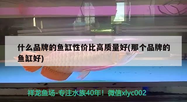 亮点水族鱼缸图片欣赏(亮点水族鱼缸价格)