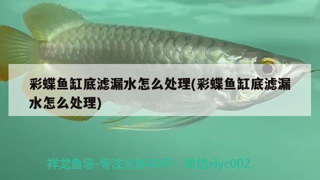 鱼缸底柜变形怎么办（鱼缸底柜变形怎么办视频） 水族展会 第2张