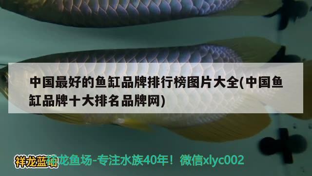 中国最好的鱼缸品牌排行榜图片大全(中国鱼缸品牌十大排名品牌网) 帝王三间鱼