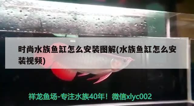 时尚水族鱼缸怎么安装图解(水族鱼缸怎么安装视频)