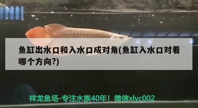 鱼缸出水口和入水口成对角(鱼缸入水口对着哪个方向?)