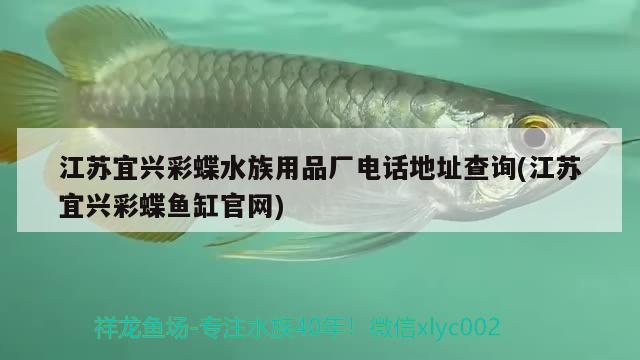 江苏宜兴彩蝶水族用品厂电话地址查询(江苏宜兴彩蝶鱼缸官网) 水族用品