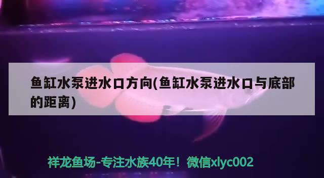 鱼缸水泵进水口方向(鱼缸水泵进水口与底部的距离) 鱼缸水泵