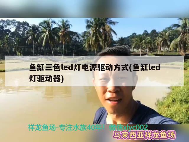 鱼缸三色led灯电源驱动方式(鱼缸led灯驱动器)