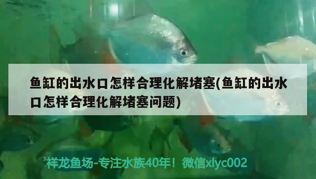 鱼缸的出水口怎样合理化解堵塞(鱼缸的出水口怎样合理化解堵塞问题)