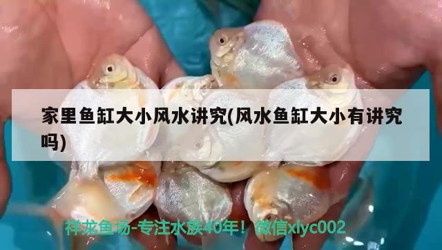 家里鱼缸大小风水讲究(风水鱼缸大小有讲究吗) 鱼缸风水