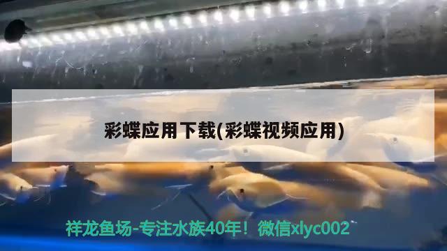 济宁二手鱼缸出售信息大全（济宁二手鱼缸出售信息大全图片）