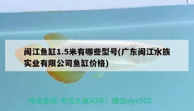 闽江鱼缸1.5米有哪些型号(广东闽江水族实业有限公司鱼缸价格)