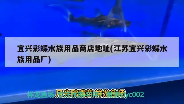 宜兴彩蝶水族用品商店地址(江苏宜兴彩蝶水族用品厂)