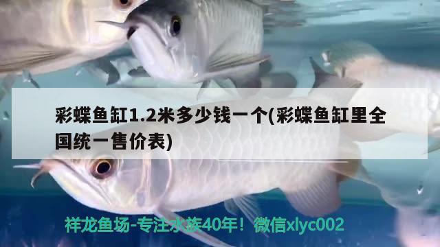 鱼缸水族箱怎么安装的图解(鱼缸水族箱怎么安装的图解图片)