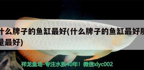 什么牌子的鱼缸最好(什么牌子的鱼缸最好质量最好)