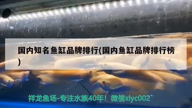 国内知名鱼缸品牌排行(国内鱼缸品牌排行榜) 泰庞海莲鱼