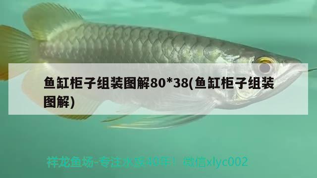 鱼缸柜子组装图解80*38(鱼缸柜子组装图解) 广州观赏鱼批发市场