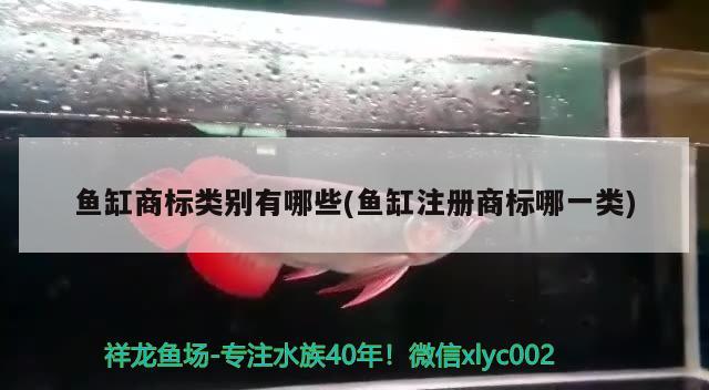 ERROR，浙江鱼缸哪家公司做的质量比较好