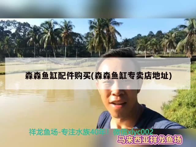 森森鱼缸配件购买(森森鱼缸专卖店地址) 水草