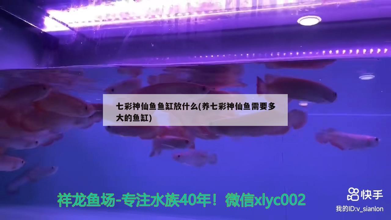 鱼缸彩灯价格表图片及价格（鱼缸彩色灯好还是单色灯好） 其他品牌鱼缸 第2张