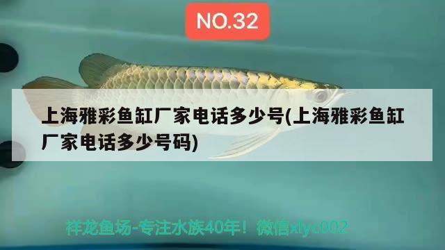 鱼缸彩灯价格表图片及价格（鱼缸彩色灯好还是单色灯好） 其他品牌鱼缸 第1张