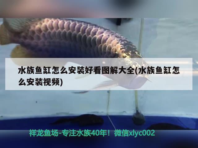 水族鱼缸怎么安装好看图解大全(水族鱼缸怎么安装视频)