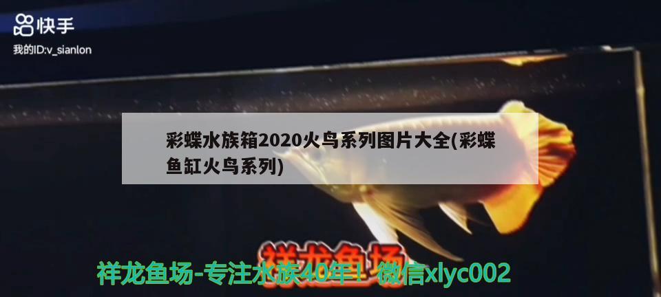 彩蝶水族箱2020火鸟系列图片大全(彩蝶鱼缸火鸟系列) 鱼缸/水族箱