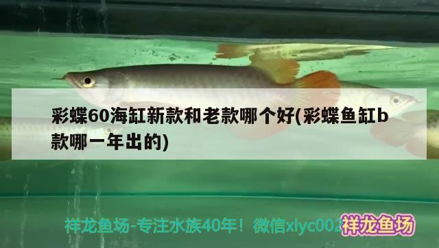 彩蝶60海缸新款和老款哪个好(彩蝶鱼缸b款哪一年出的)