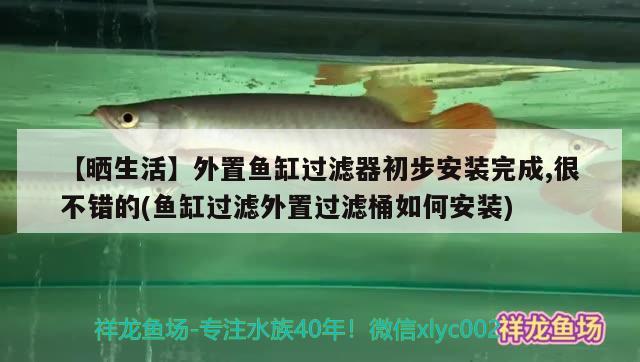 【晒生活】外置鱼缸过滤器初步安装完成,很不错的(鱼缸过滤外置过滤桶如何安装) B级过背金龙鱼