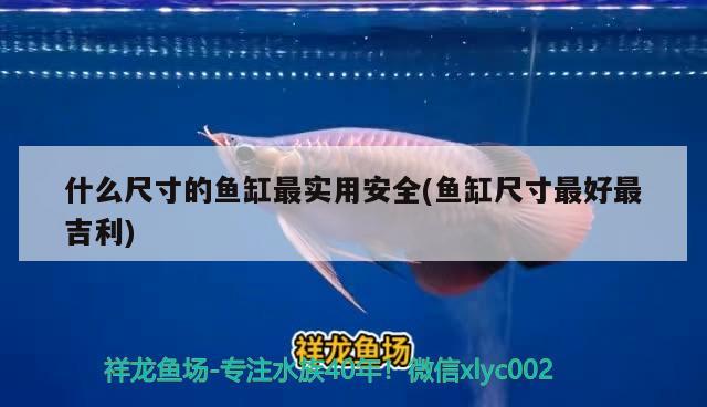 北京趣园多宝珠宝店 全国水族馆企业名录 第3张