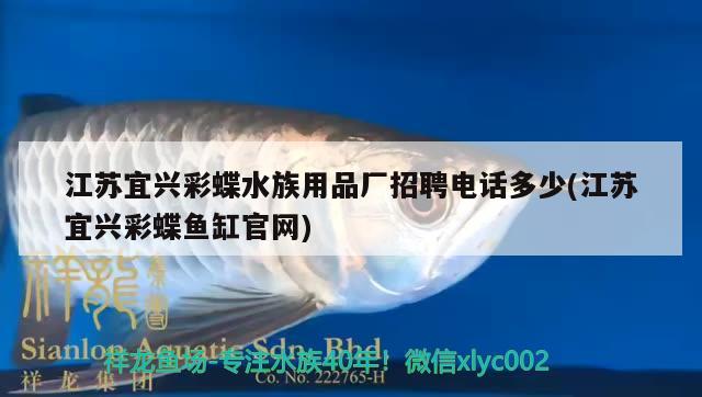 江苏宜兴彩蝶水族用品厂招聘电话多少(江苏宜兴彩蝶鱼缸官网) 水族用品